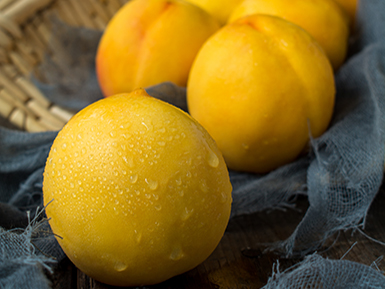 开云在线入口基地展示五