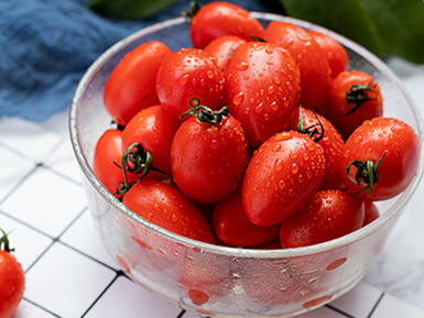 开云在线入口基地展示六